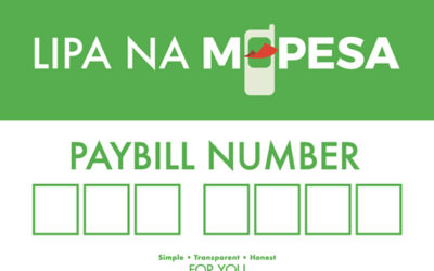 Concealing M-Pesa Details is a Step in the Right Direction 