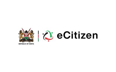 E-Citizen Attack: How Cyber Insecurity Enables Inaccessibility