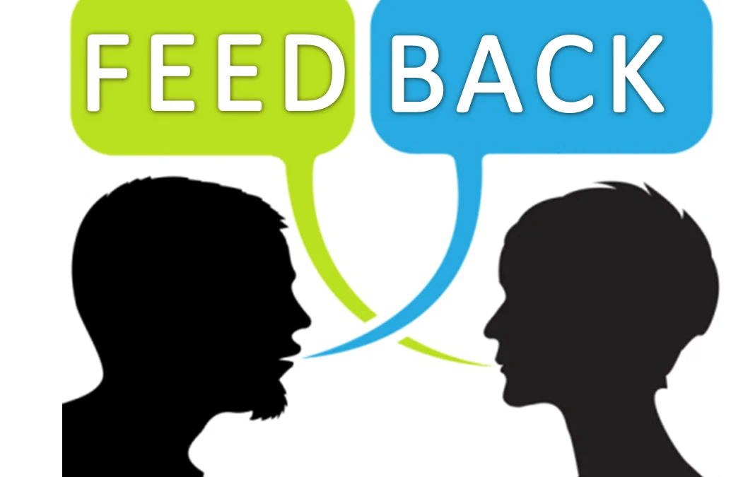Feedback: Understanding Why We React Differently