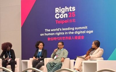 Digital Identity: The Human Rights Stakes of Digital Megaprojects.